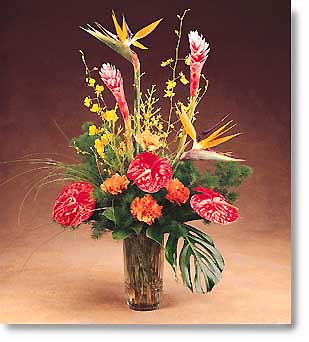 vf1061.jpg (21065 bytes)