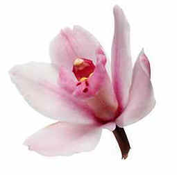 vf16.jpg (8585 bytes)