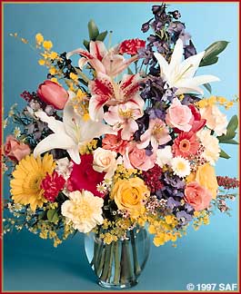 vf17.jpg (28034 bytes)