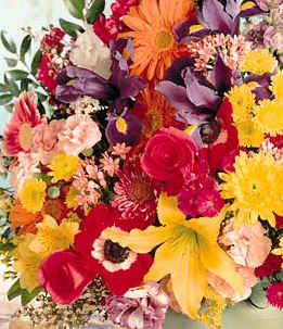 vf19.jpg (29755 bytes)