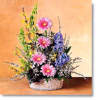 vf5015.jpg (27016 bytes)